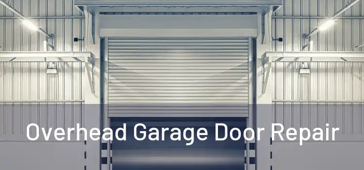  Overhead Garage Door Repair 